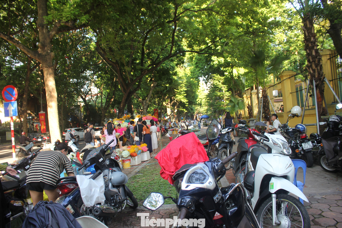 Nhiều người mô tả rằng “1m2 có đến hơn chục nàng thơ” ở hai bên đường phố Phan Đình Phùng những ngày này.