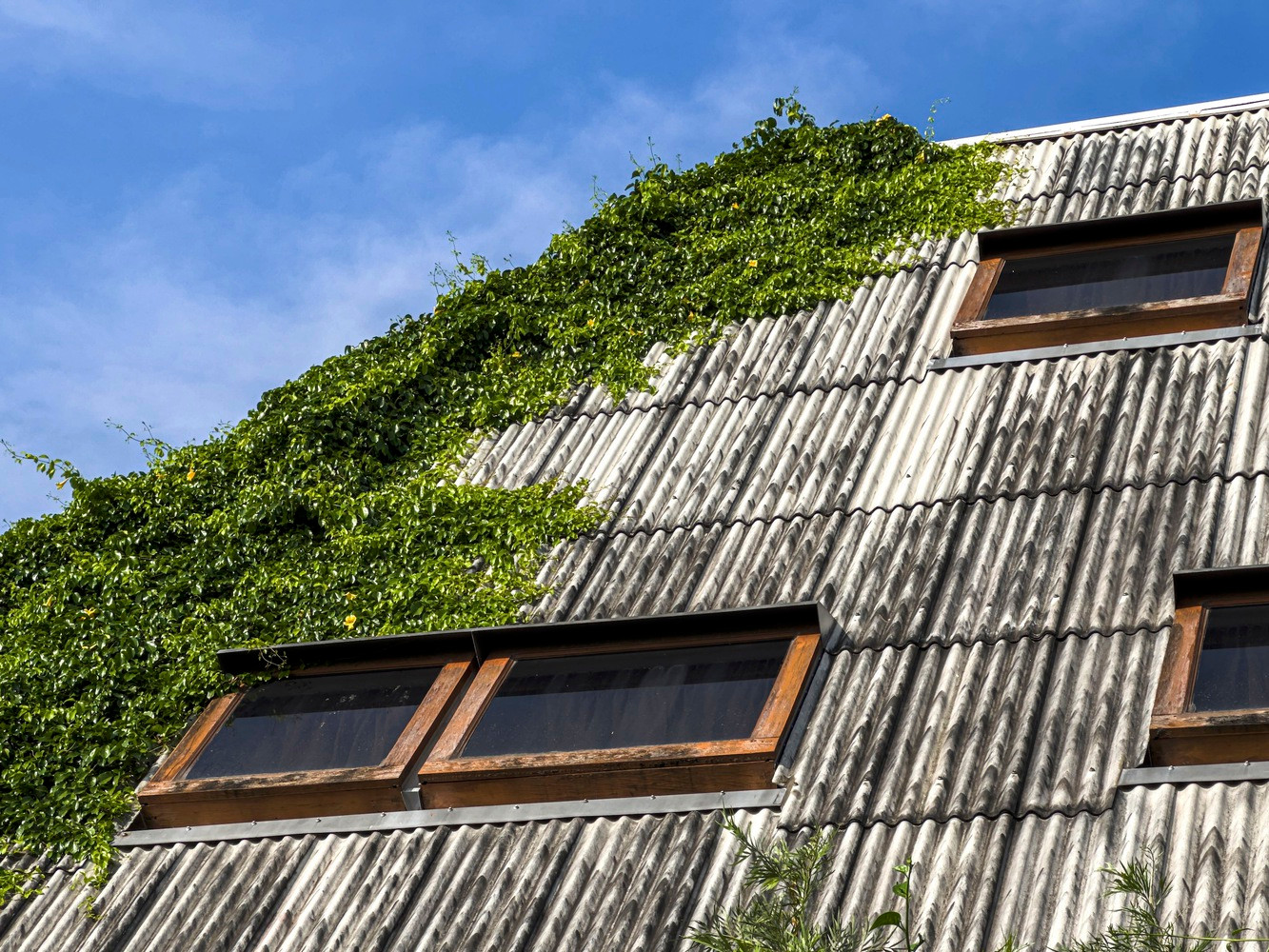 Kiến trúc sư muốn duy trì đặc điểm của ngôi nhà bằng cách phát triển độ dốc của mái nhà, để phù hợp với hướng mặt trời. Kiến trúc sư muốn duy trì đặc điểm của ngôi nhà bằng cách phát triển độ dốc của mái nhà, để phù hợp với hướng mặt trời.