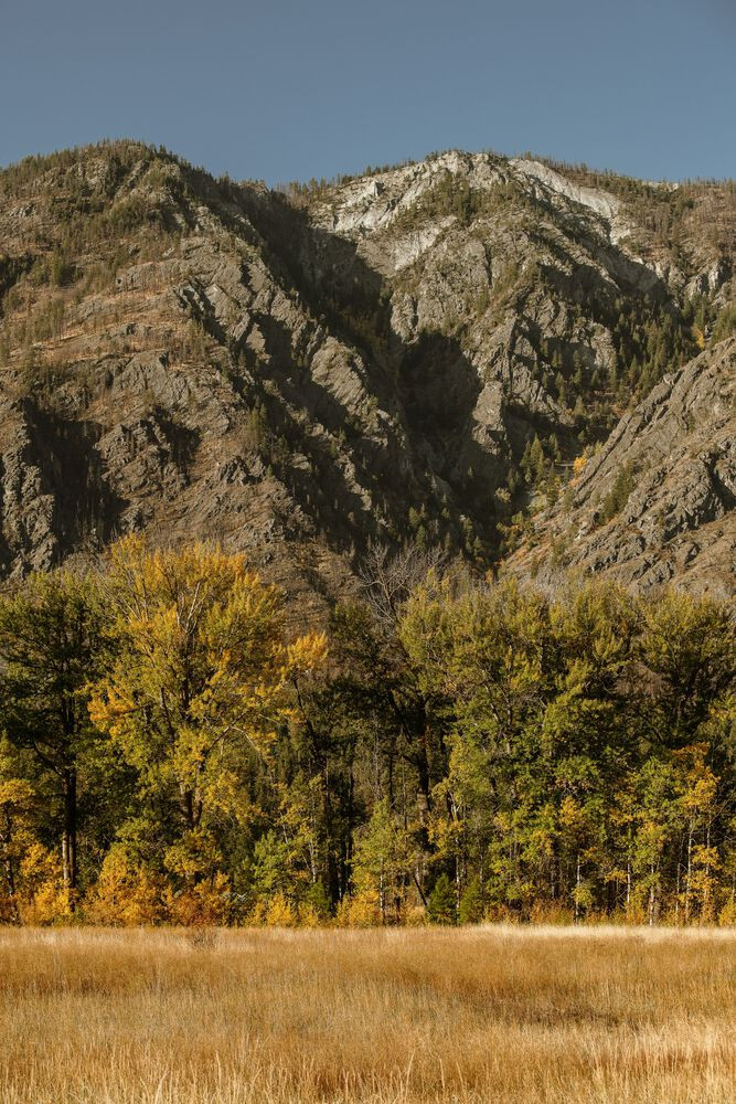 Bảng màu nội thất đơn giản của bê tông và gỗ gắn kết không gian lại với nhau.