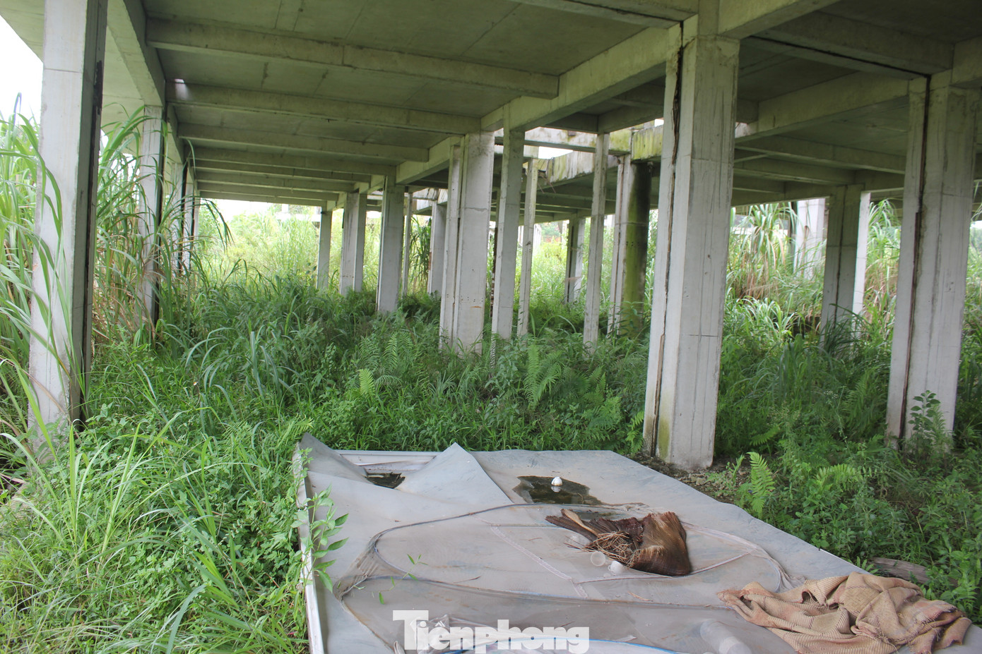 Dãy nhà liền kề xây dựng dở dang, nay quanh năm ngập nước, sắt thép hoen gỉ.