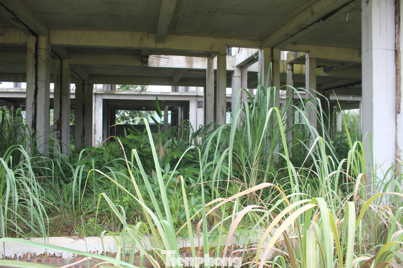 Tuy nhiên, chỉ sau hơn một năm được chấp thuận chủ trương đầu tư, vào tháng 5/2022, UBND tỉnh Phú Thọ ban hành Quyết định số 2284 về việc chấm dứt hoạt động của dự án và thu hồi Chấp thuận chủ trương đầu tư, Quyết định phê duyệt danh sách nhà đầu tư đáp ứng yêu cầu sơ bộ về năng lực, kinh nghiệm thực hiện dự án.