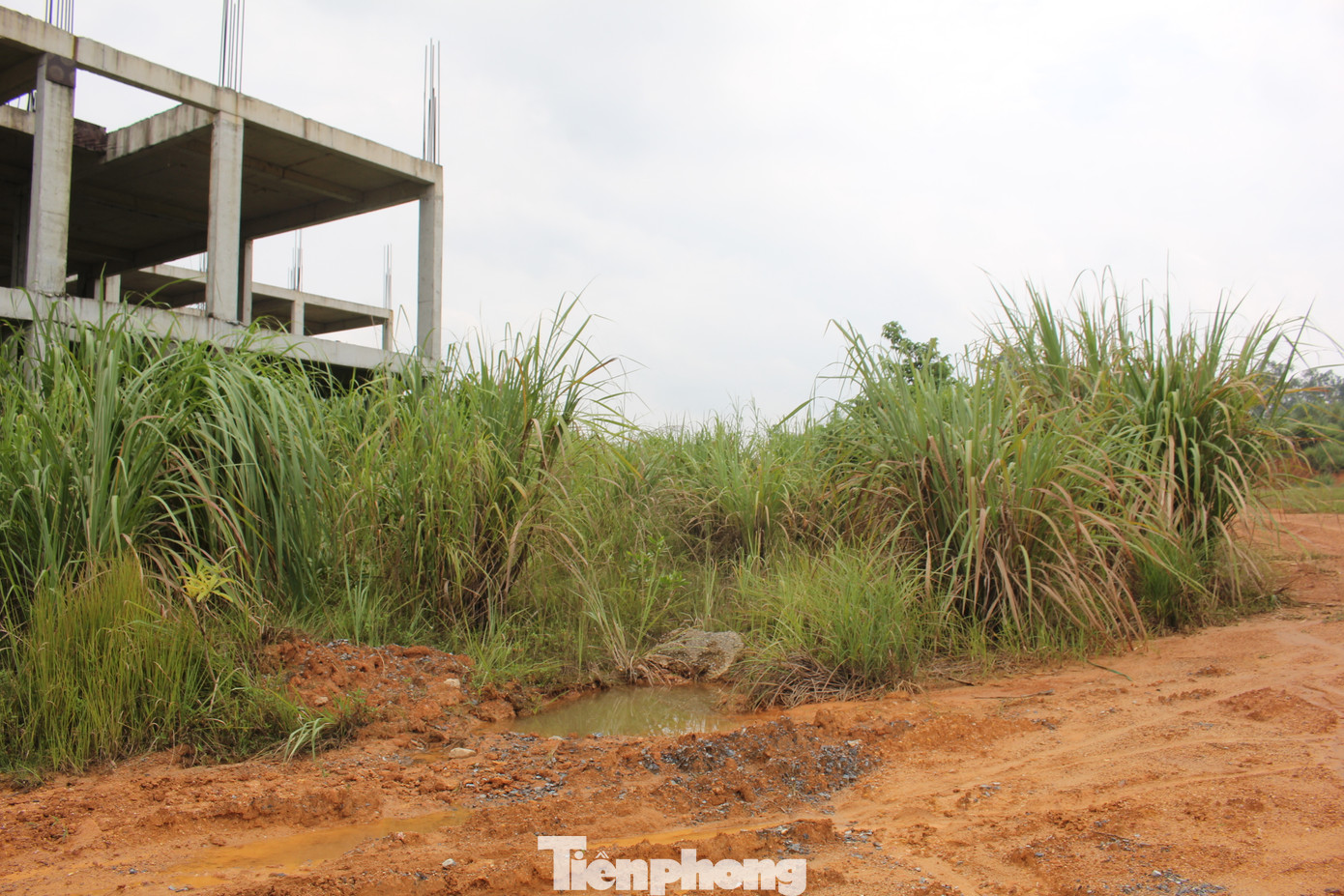 Theo đó, dự án bị “khai tử” là do gặp một số khó khăn, vướng mắc trong quá trình triển khai thực hiện dự án, nhà đầu tư có thông báo và hồ sơ đề nghị chấm dứt hoạt động dự án.