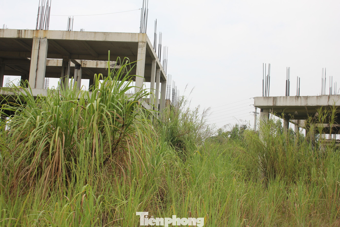 Theo đó, dự án bị “khai tử” là do gặp một số khó khăn, vướng mắc trong quá trình triển khai thực hiện dự án, nhà đầu tư có thông báo và hồ sơ đề nghị chấm dứt hoạt động dự án.