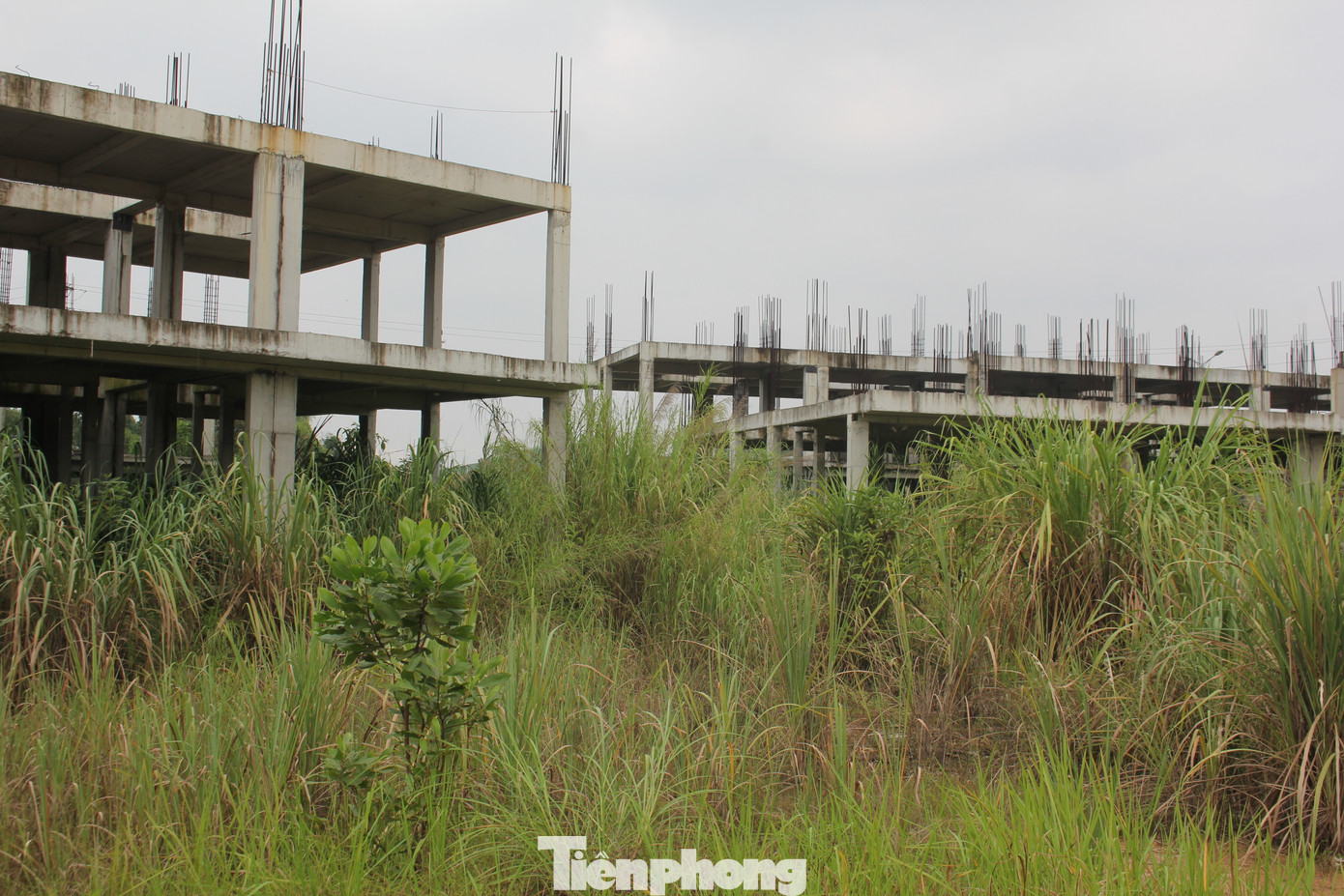 Đến cuối năm 2021, UBND tỉnh Phú Thọ có Quyết định số 3336 về việc chuyển mục đích và giao đất cho Tập đoàn FLC để thực hiện Dự án Khu đô thị sinh thái và thể thao Việt Trì, giai đoạn 1 (FLC Phú Thọ), với vốn đầu tư hơn 4.400 tỷ đồng.