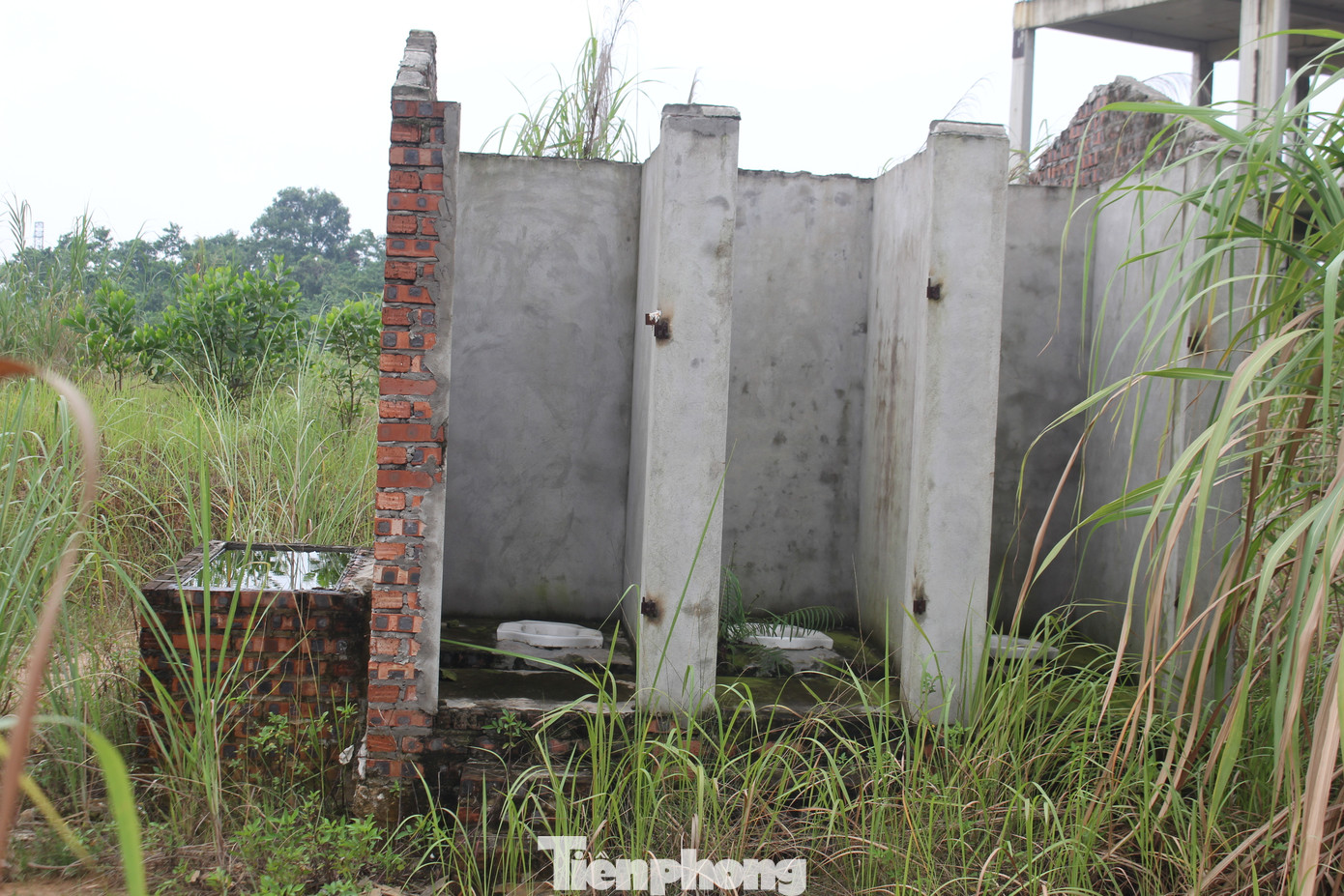 Đến cuối năm 2021, UBND tỉnh Phú Thọ có Quyết định số 3336 về việc chuyển mục đích và giao đất cho Tập đoàn FLC để thực hiện Dự án Khu đô thị sinh thái và thể thao Việt Trì, giai đoạn 1 (FLC Phú Thọ), với vốn đầu tư hơn 4.400 tỷ đồng.