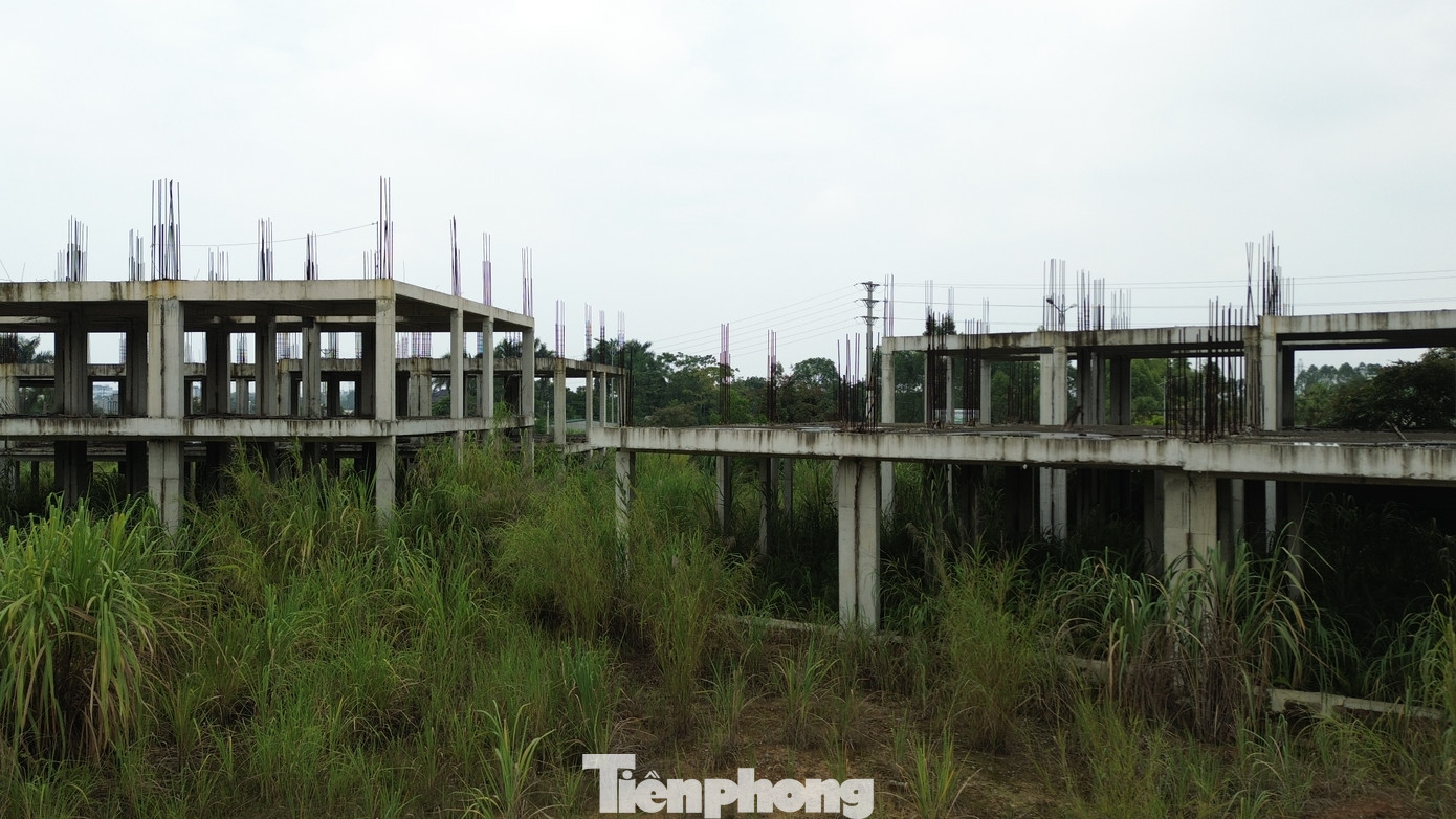 Được biết, toàn bộ diện tích đất của dự án "chết yểu" này đã được giao cho Trung tâm Phát triển Quỹ đất tỉnh Phú Thọ quản lý. Tuy nhiên, cho tới thời điểm hiện tại, phần đất đắc địa này chưa được đưa vào khai thác, sử dụng.