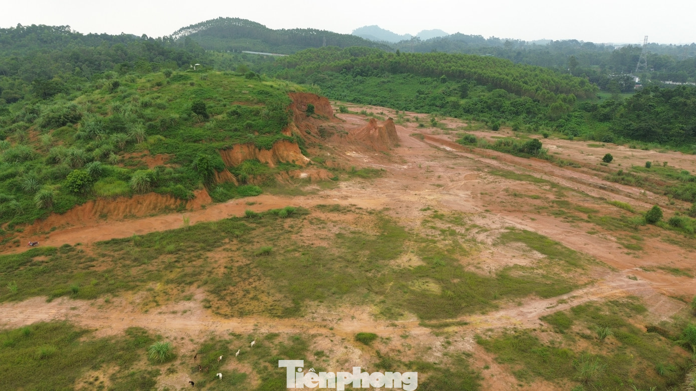 Phần diện tích vốn được dự kiến làm sân golf đẳng cấp, nay thành bãi chăn thả dê của người dân địa phương.