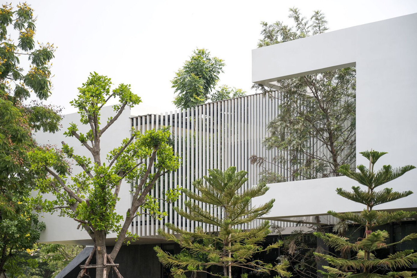 Các khu vực sinh hoạt riêng tư như phòng ngủ được đưa lên trên cùng, tạo ra một ngôi nhà hình hộp hiện đại.