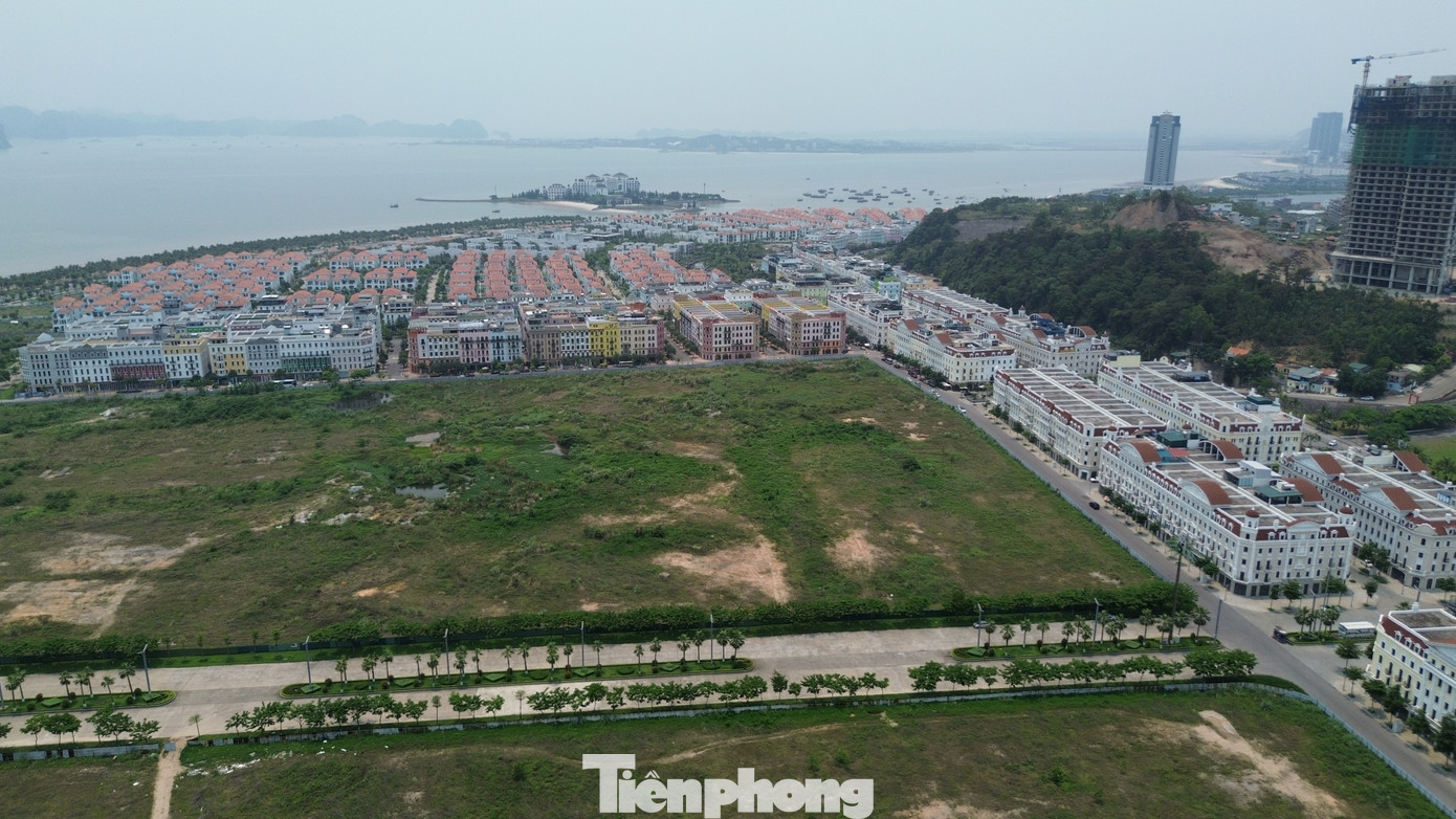 Toàn bộ diện tích đảo Núi Cuống với một mặt giáp vịnh Bái Tử Long, hai mặt giáp biển phía Bắc đảo Cái Bầu (huyện Vân Đồn) dự kiến quy hoạch thành khu du lịch nghỉ dưỡng và sân golf với diện tích hơn 1.000 ha. (Ảnh minh họa: Lập Đông)