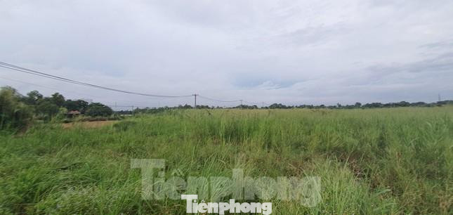 Nhiều sai phạm đất đai xảy ra ở Công ty Tân Thuận