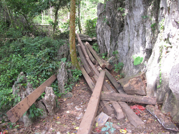 Gỗ bị lâm tặc khai thác còn nằm ngổn ngang trong rừng. Ảnh: Tuấn Nguyễn