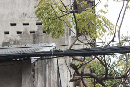 Dọn “rác trời” trên nhiều tuyến phố ảnh 11