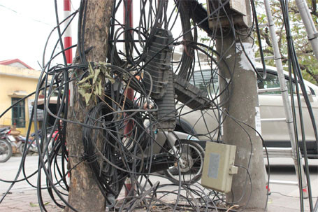 Dọn “rác trời” trên nhiều tuyến phố ảnh 1