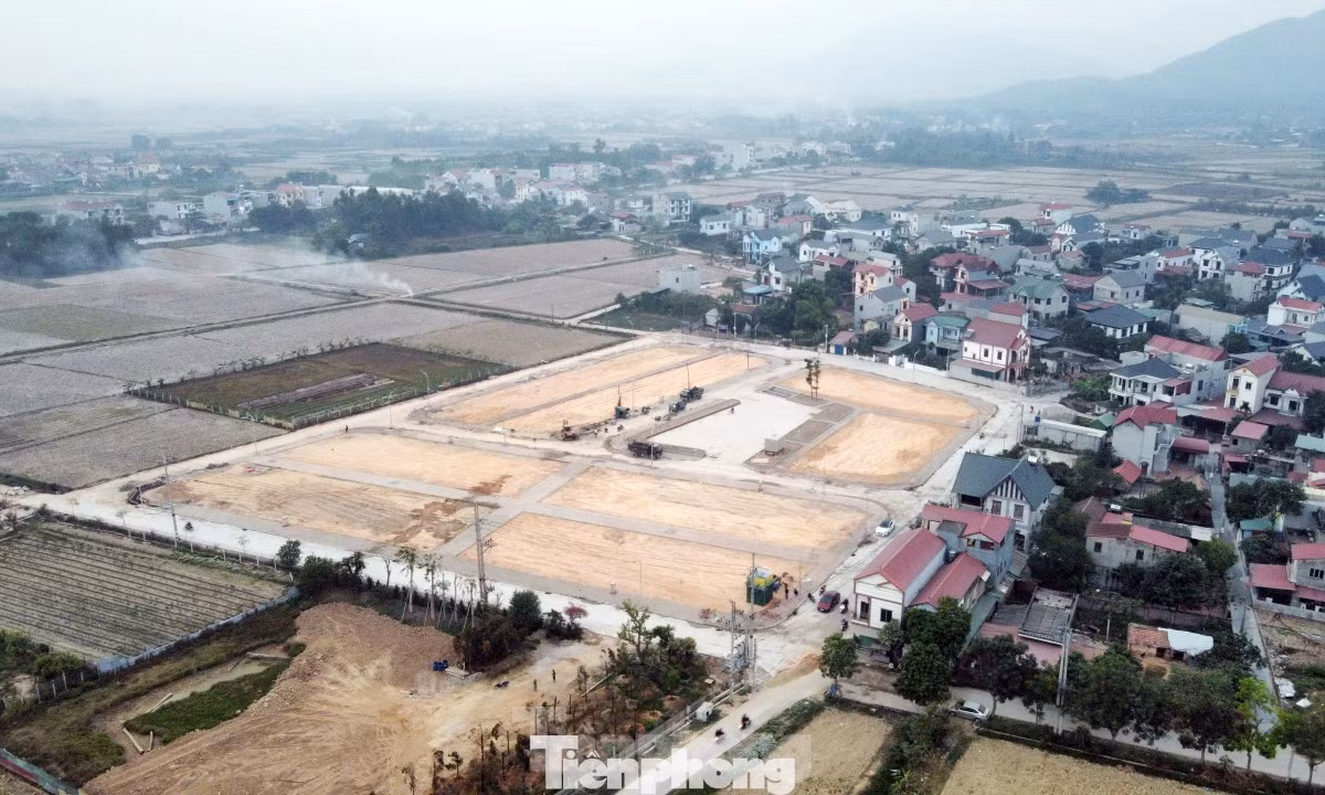 Ngày 8/3, huyện Sóc Sơn (Hà Nội) sẽ đấu giá lại 36 thửa đất tại thôn Đông Lai, xã Quang Tiến. Ảnh: Đình Phong. Ngày 8/3, huyện Sóc Sơn (Hà Nội) sẽ đấu giá lại 36 thửa đất tại thôn Đông Lai, xã Quang Tiến. Ảnh: Đình Phong.
