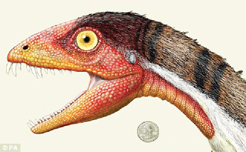 Loài khủng long mới được tìm thấy có tên Daemonosaurus chauliodus ở khu vực Ghost Ranch, New Mexico, Mỹ. Loài khủng long mới được tìm thấy có tên Daemonosaurus chauliodus ở khu vực Ghost Ranch, New Mexico, Mỹ