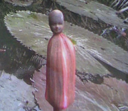 Hoa súng kỳ lạ trong vườn nhà ông Tiên, bà Nguyệt