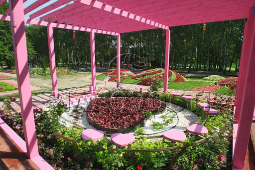 “Tình yêu” “Tình yêu”