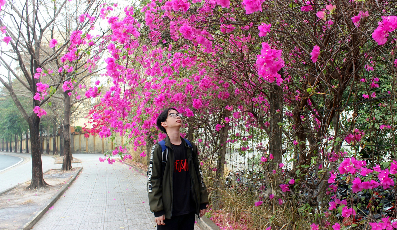 Quang Khải, sinh viên năm 2 Trường ĐH Công nghệ Thông tin TP HCM tự nhận xét, bản thân em khá khô khan, ít khi để ý đến hoa lá xung quanh, thường thì em chỉ "cắm mặt" vào con đường di chuyển từ ký túc xá tới trường và ngược lại.