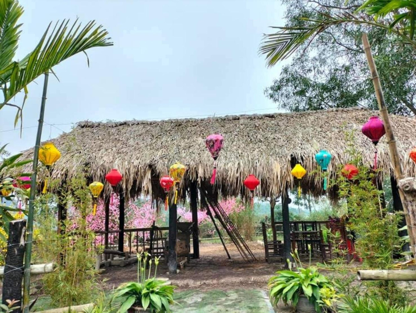 Dựng lều, lán tại khu vực đất nông nghiệp ở khu vực Đồng Choe, làng Đông Sơn