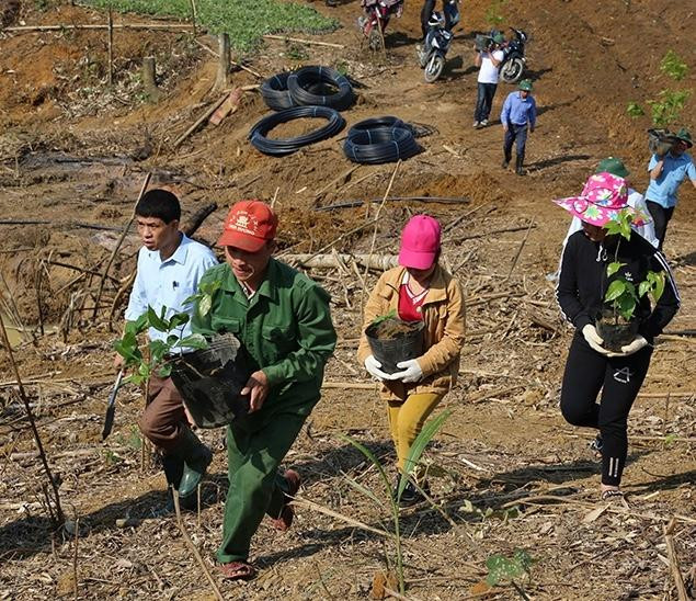Nhiều giống cây dược liệu quý được người dân miền núi Thanh Hoá trồng, nhân rộng mang lại hiệu quả kinh tế. Nhiều giống cây dược liệu quý được người dân miền núi Thanh Hoá trồng, nhân rộng mang lại hiệu quả kinh tế.