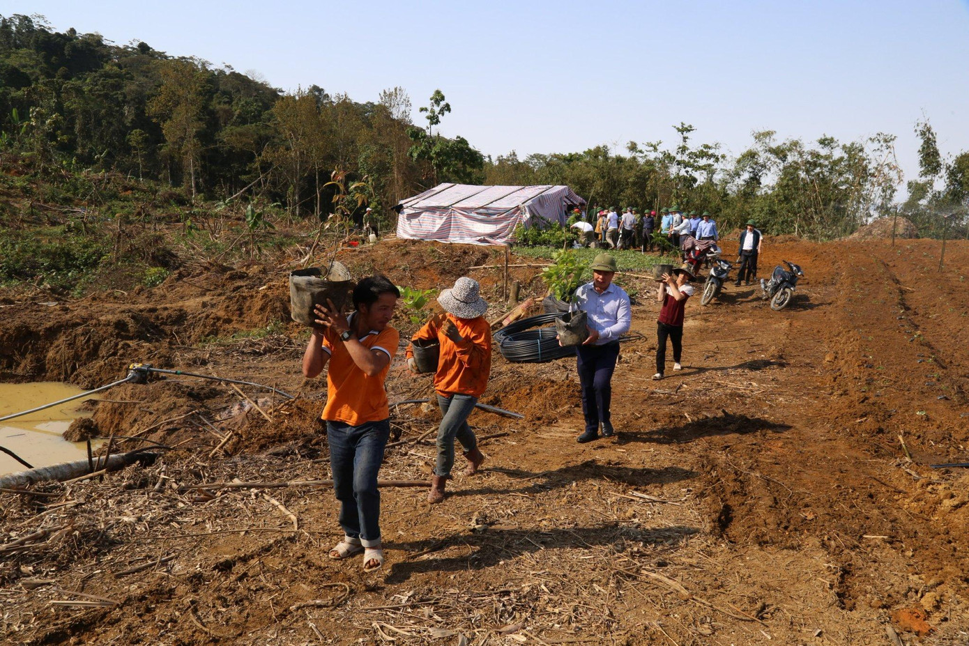 Người dân bản Chanh, xã Sơn Thủy, huyện Quan Sơn đưa cây dược liệu lên trồng ở núi Vũng Cộp. Người dân bản Chanh, xã Sơn Thủy, huyện Quan Sơn đưa cây dược liệu lên trồng ở núi Vũng Cộp.