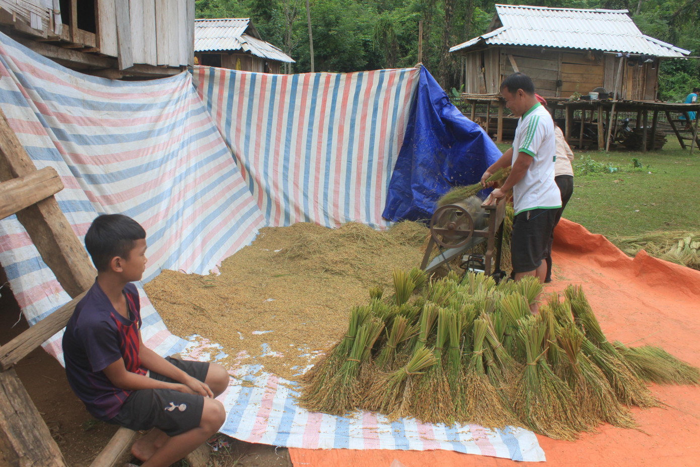 Đồng bào Khơ Mú tại phố Đoàn Kết vào mùa thu hoạch lúa nương