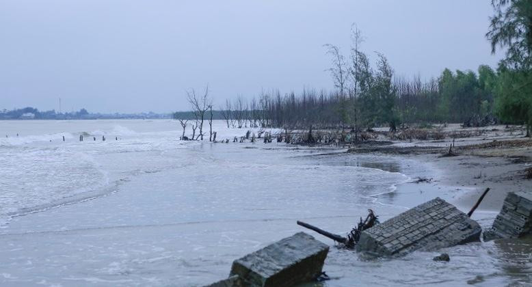 Hiện tượng biển xâm thực mạnh diễn ra tại khu vực thôn Tân Xuân, xã Hoằng Phụ, huyện Hoằng Hoá