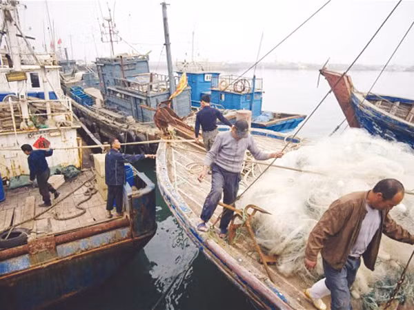 Tàu đánh cá gần bãi cạn Scarborough