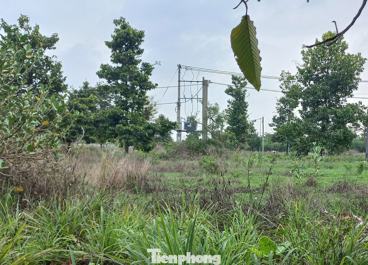 Hiện trường phát hiện thi thể người