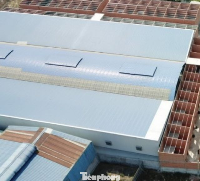 Nhà xưởng xây không phép tại phường Thuận Giao (TP. Thuận An)