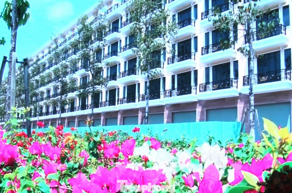 Tốc độ phát triển kinh tế của thị xã Bến Cát tăng bình quân hàng năm đạt 10,9%; cơ cấu kinh tế đến cuối năm 2022: Công nghiệp 72,4% - Dịch vụ 27,3% - Nông nghiệp 0,3%. Công nghiệp: Tổng giá trị sản xuất đạt 437.246,4 tỷ đồng, tăng bình quân 16,1%/năm, tỷ lệ lắp đầy các khu công nghiệp đạt 90,31%. Có 1.193 dự án đến đầu tư (tăng bình quân mỗi năm 13,64%); trong đó, nước ngoài đầu tư là 799 dự án nâng tổng số dự án trên địa bàn thị xã này đến nay là 5.985 dự án.