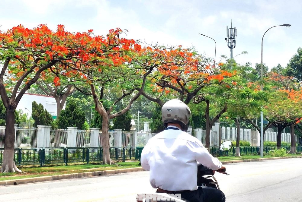 VSIP 1 cũng dần có sự chuyển dịch theo hướng phát triển các khu liên hợp công nghiệp, đô thị và dịch vụ nhắm đến việc kiến tạo môi trường làm việc, sống, học tập và vui chơi bền vững. Đây cũng là khu công nghiệp được người dân, doanh nghiệp đánh giá là xanh, sạch, đẹp… nơi đáng sinh sống và làm việc.