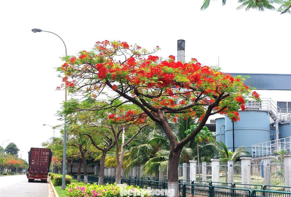 Khu công nghiệp VSIP 1 Bình Dương là một trong những khu công nghiệp hiện đại kiểu mẫu, thu hút các nhà đầu tư trong và ngoài nước của tỉnh Bình Dương