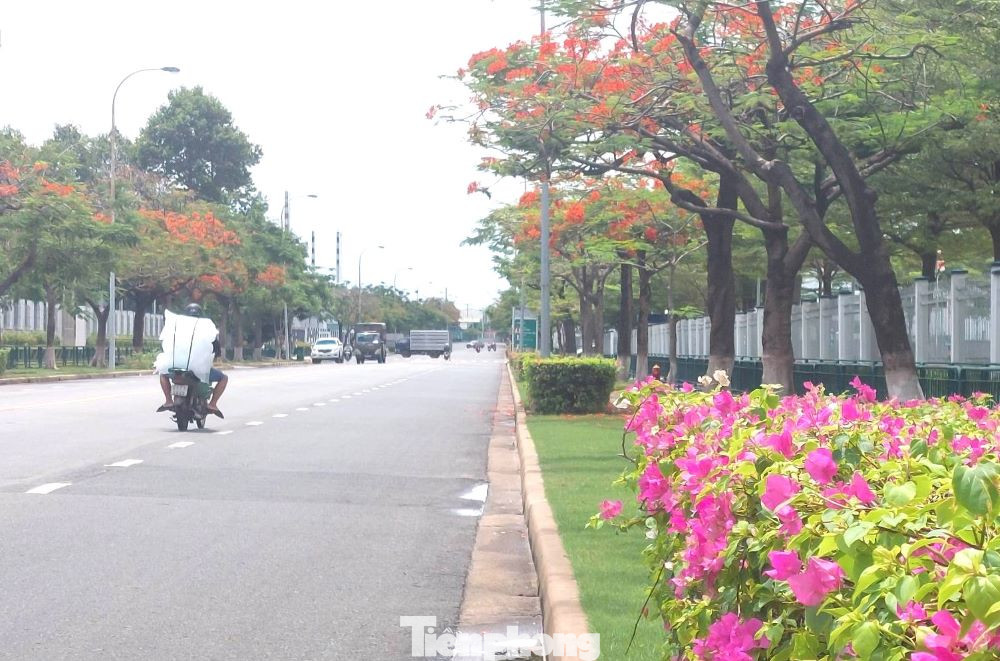 Hoa phượng biểu trưng cho tình yêu học trò thơ ngây, mơ mộng. Dưới tán cây phượng là kỷ niệm khó quên của một thời học trò trong thâm tâm mỗi người.