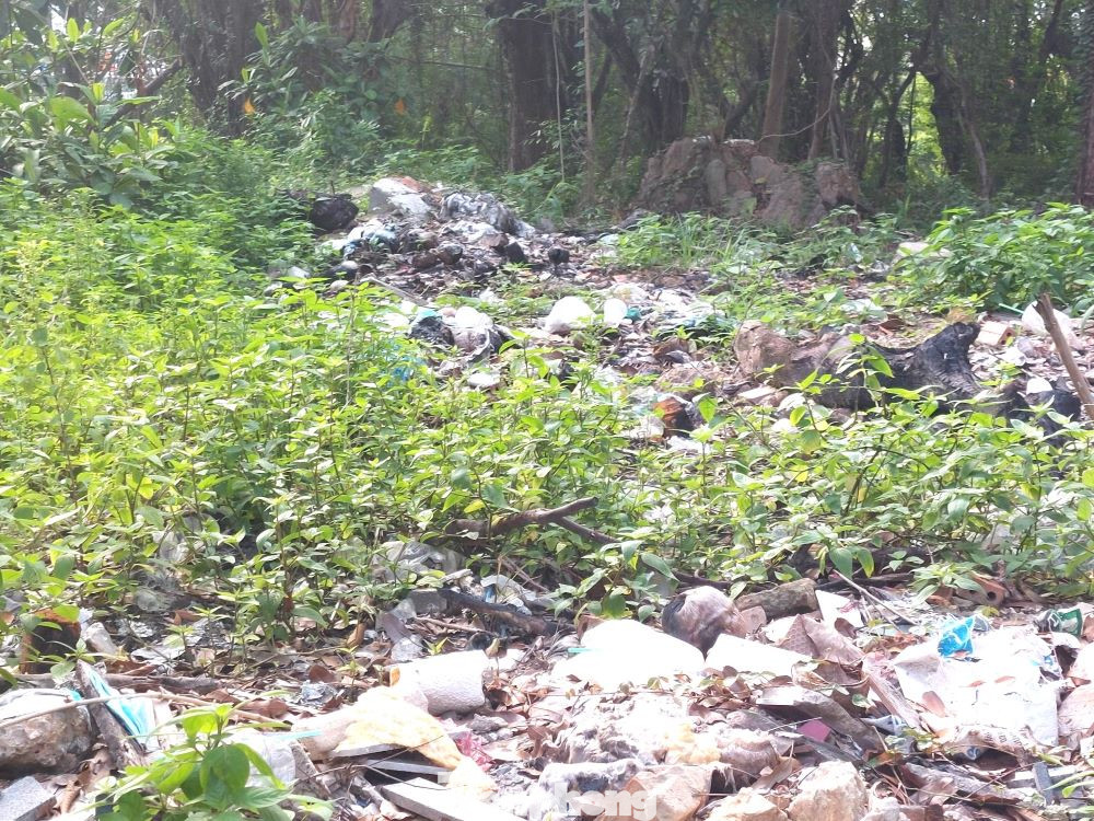 Công viên trở thành điểm chứa rác thải