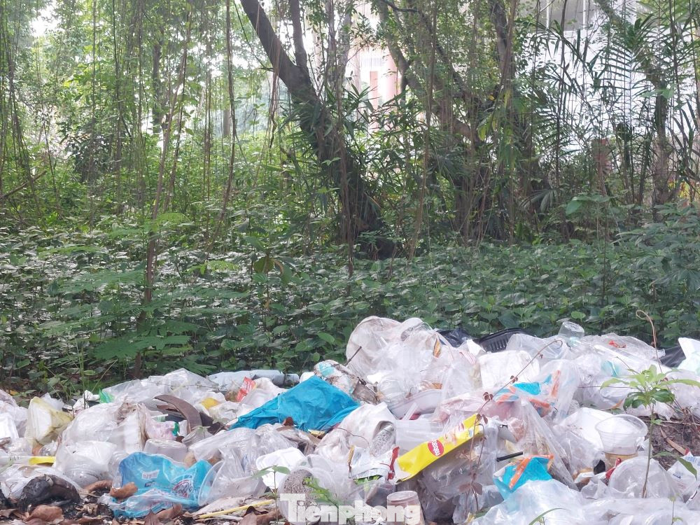 Rác chất thành đống trong công viên