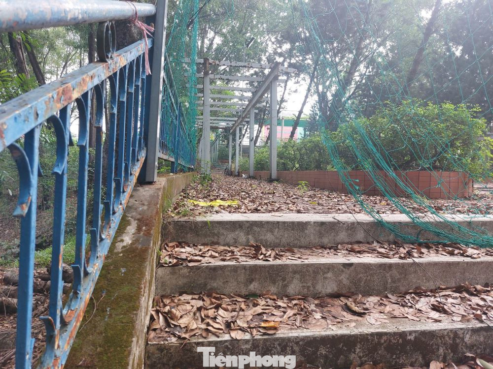 Lối cổng phụ vào công viên ngập lá khô