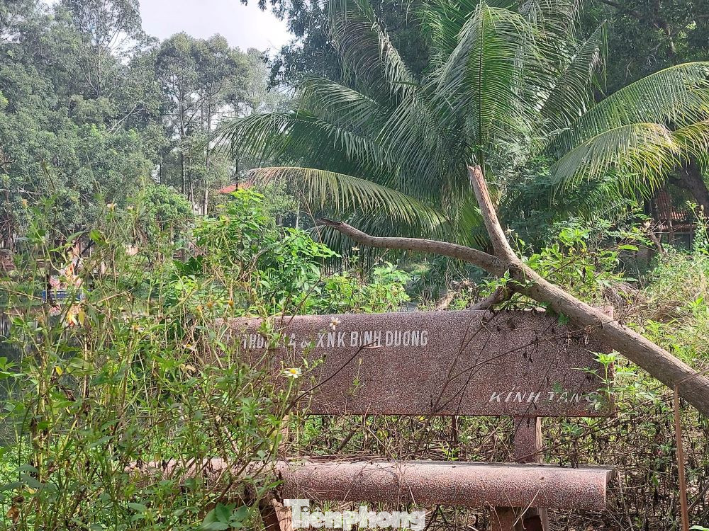 Cảnh hoang tàn trong Công viên Thủ Dầu Một