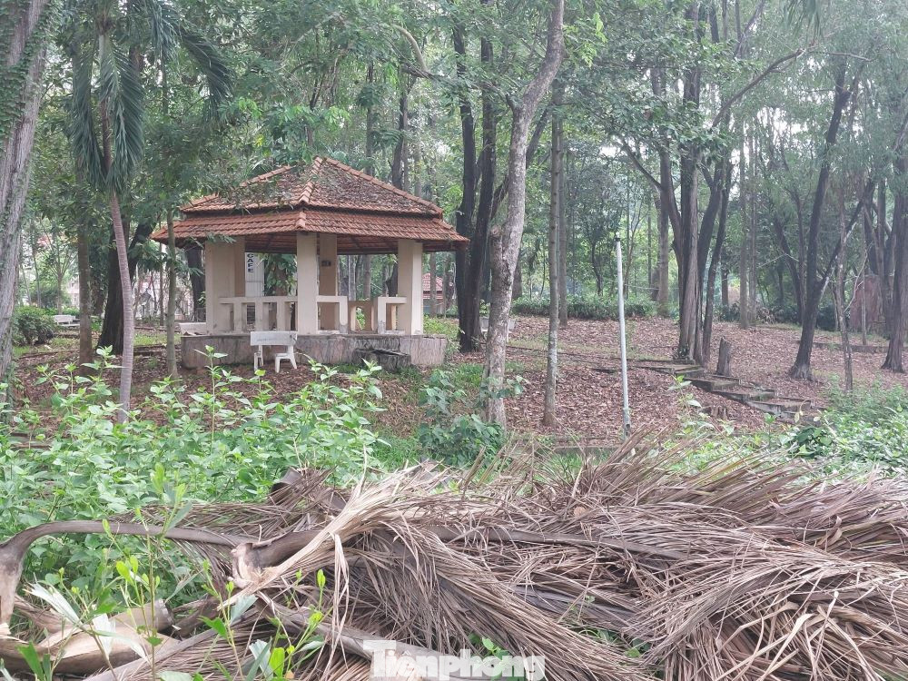 Cảnh hoang vắng trong Công viên Thủ Dầu Một