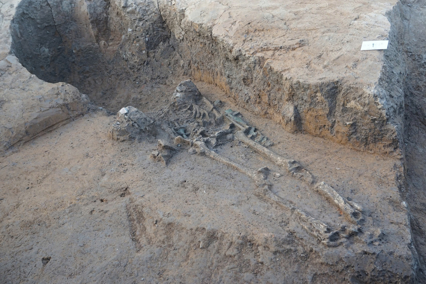 Các nhà khai quật chứng minh dấu tích mộ táng nhiều lần bị đào trộm trong những năm qua.