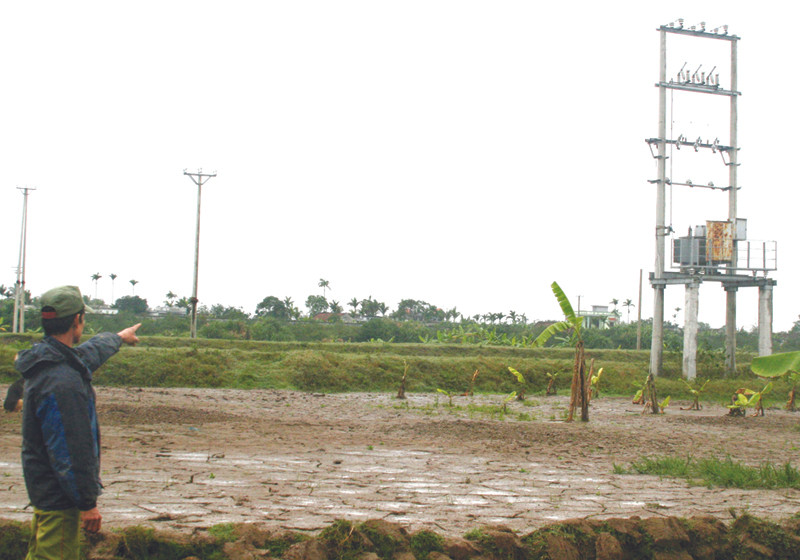 Hệ thống điện DN đầu tư bị bỏ hoang. Ảnh: P.V