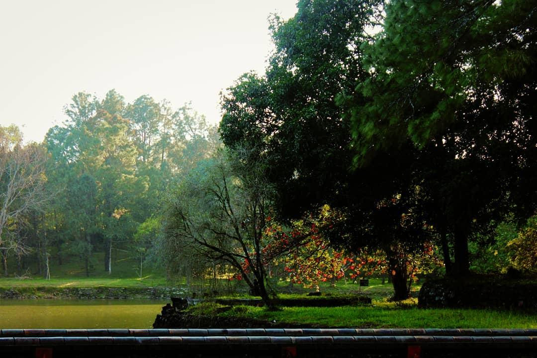 Hồ Trừng Minh đẹp mơ màng và huyền ảo - Ảnh: IG nguyetha