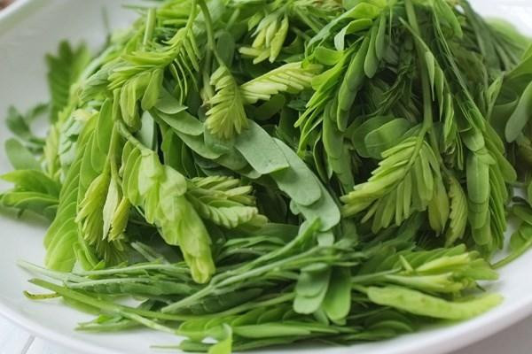 Lá me non - Ảnh: Phụ Nữ Online Lá me non - Ảnh: Phụ Nữ Online