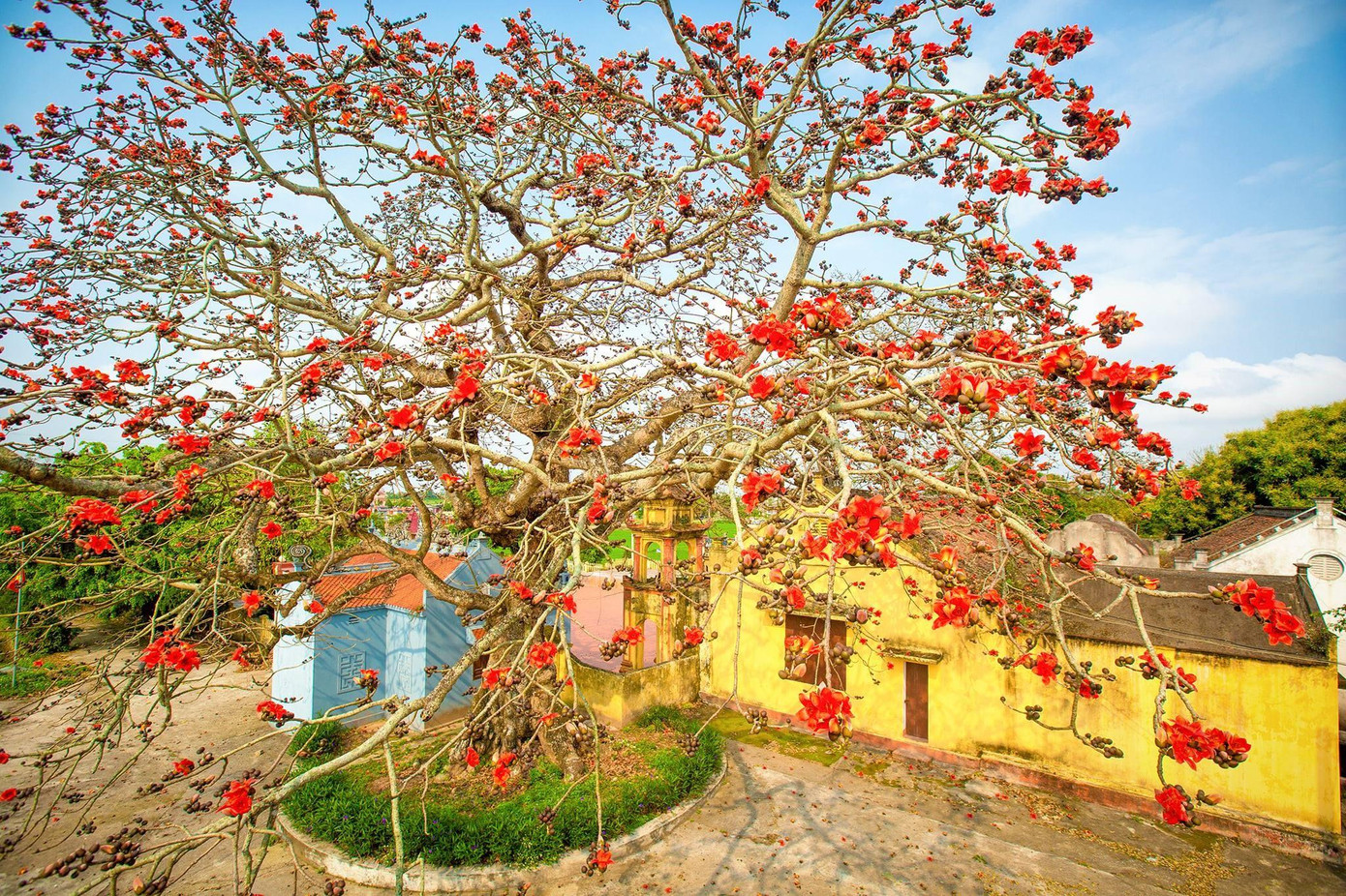 Ảnh: Vũ Ngọc Thiện