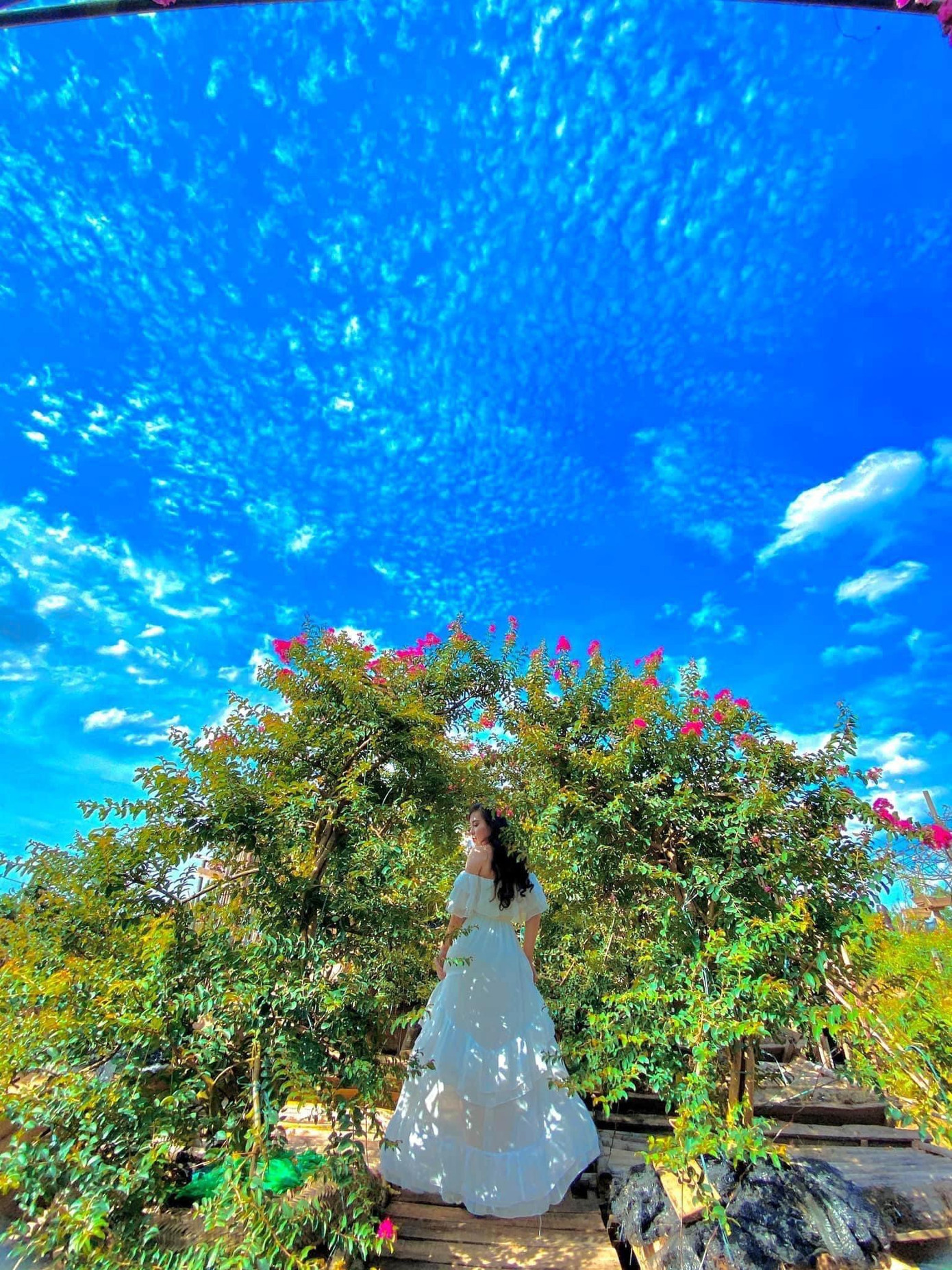 Góc nào cũng chill nhé! - Ảnh: Nguyễn An Vi Góc nào cũng chill nhé! - Ảnh: Nguyễn An Vi