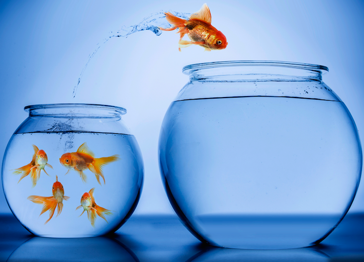 Sẽ luôn có đích đến nếu em có sự chuẩn bị kĩ càng. Sẽ luôn có đích đến nếu em có sự chuẩn bị kĩ càng.