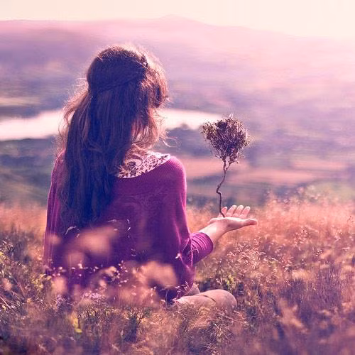 Sự cô đơn cũng có vẻ đẹp riêng, em hãy tận hưởng nó.
