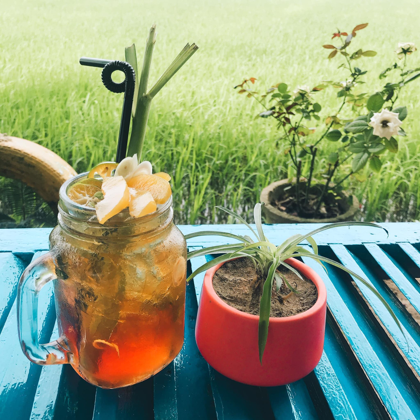 Ảnh: Xóm Chiêu Ảnh: Xóm Chiêu