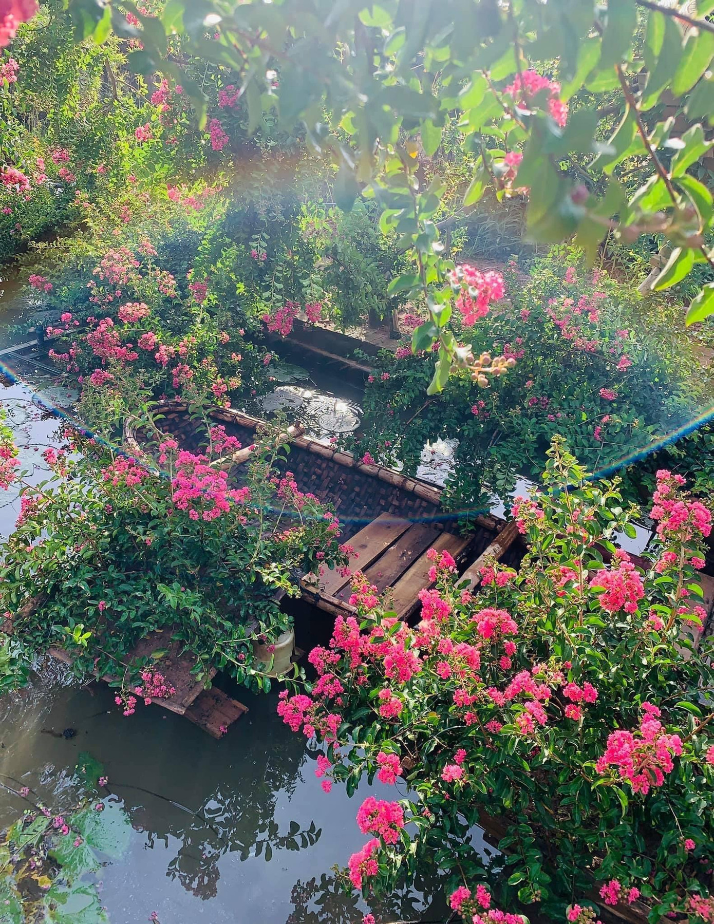 Một khung cảnh nên thơ khác: Ảnh: Nguyễn An Vi Một khung cảnh nên thơ khác: Ảnh: Nguyễn An Vi