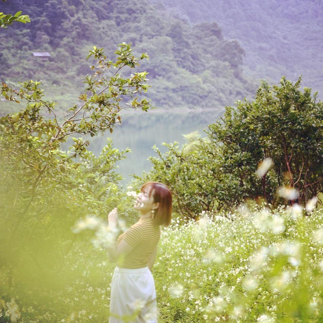 Cảnh sắc hồ được điểm xuyết bởi vẻ đẹp dịu dàng của hoa xuyến chi - Ảnh: IG heydi.pham Cảnh sắc hồ được điểm xuyết bởi vẻ đẹp dịu dàng của hoa xuyến chi - Ảnh: IG heydi.pham